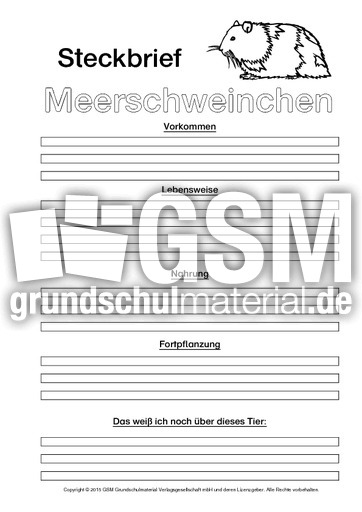 Meerschweinchen-Steckbriefvorlage-sw.pdf
